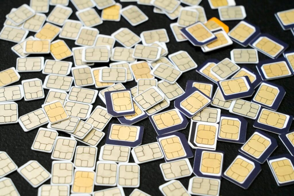 double sim